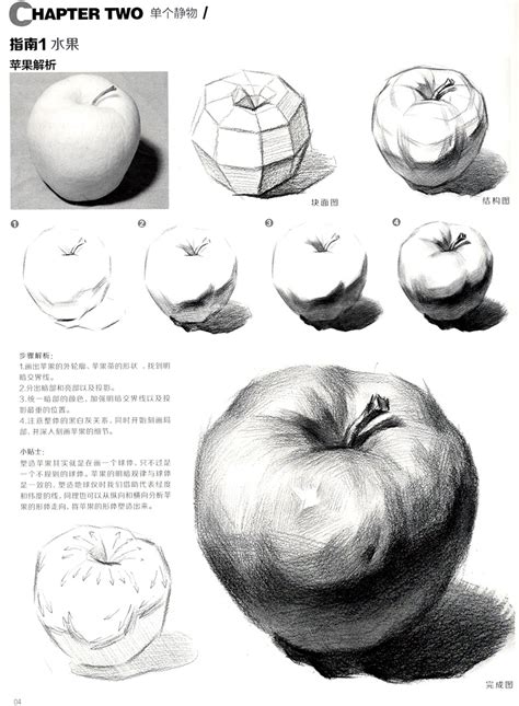 初学画画入门图片