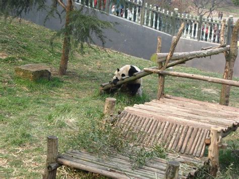 南京红山动物园一日游攻略 附最佳路线_旅泊网