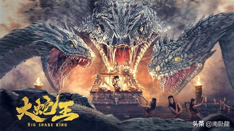 中国的蛇的电影有哪些（国产人蛇大战电影大蛇王推荐） | 刀哥爱八卦