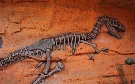 男孩河床边玩耍发现恐龙脚印 四川古蔺县现世界罕见蜥脚类恐龙幻迹 - 化石网