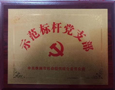 延安街道党工委指导非公企业成立党支部_蚌埠市龙子湖区人民政府