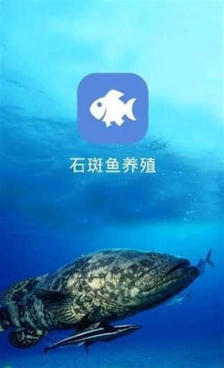 石斑鱼养殖app下载-石斑鱼养殖免广告版下载v1.0-手游TV下载站