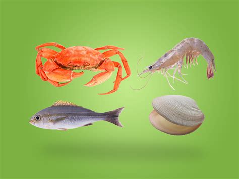 水产养殖的五种形式，哪种更适合你？【鸭绿江香鱼】 - 鸭绿江香鱼官网