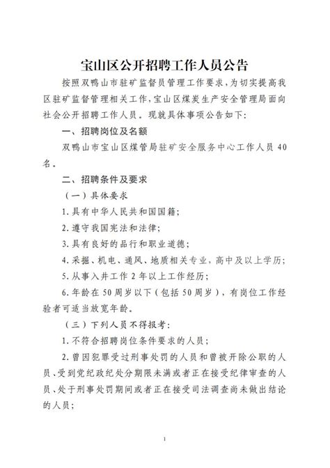 宝山区公开招聘工作人员公告 -双鸭山市宝山区人民政府