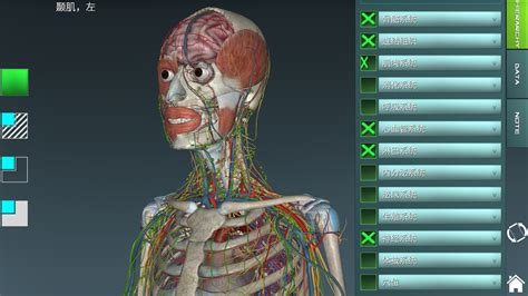 人体解剖学图谱下载2019安卓最新版_手机app官方版免费安装下载_豌豆荚