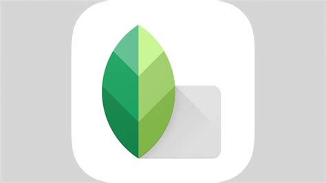 Snapseed iPad App Brings A Touch Of Professional Photo Editing To The iPad