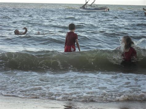 海洋 海 游泳 播放 玩耍 儿童 快乐 度假 夏天 水图片免费下载 - 觅知网