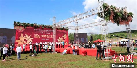 第三届中国凌源百合节开幕 当地花卉年产值超10亿元_手机新浪网