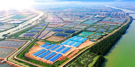 渤海生态攻坚下的山东水产业：莱州、龙口何以殊途同归 - 海洋财富网