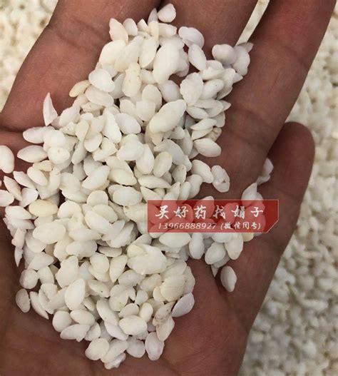 鱼脑石图片