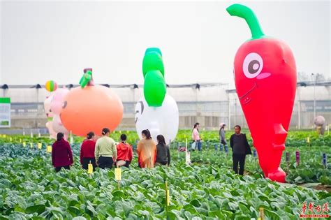 2023中国蔬菜产业大会在常德汉寿开幕 - 市州新闻 - 华声在线