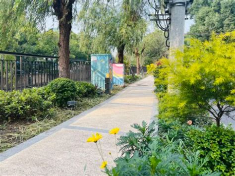 虹口区江湾镇街道这个小区有了高颜值“私家花园”-上海市建设快讯-建设招标网