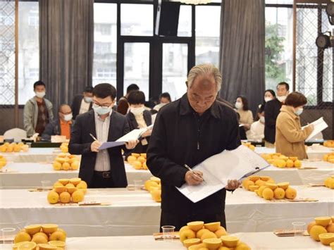 脐橙网络博览会活动开始了，满场的橙子元素看着就欣喜 - 会展活动策划CCASY.COM