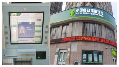 中信银行上海分行加快推进绿色信贷业务发展__财经头条