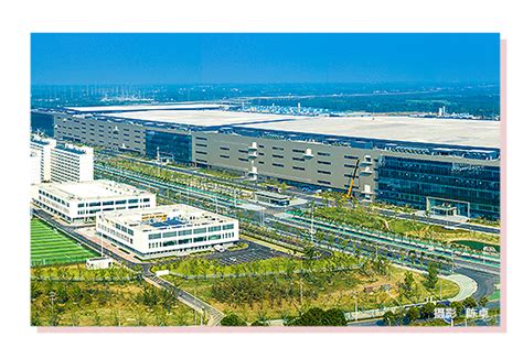 武汉市临空港经开区（东西湖区）2020年空中招聘