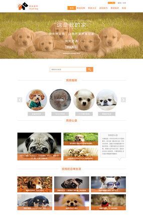 宠物网站设计图片_宠物网站设计素材_红动中国