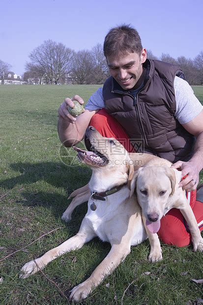 一个男人和他的两只狗在公园里宠物人类俏皮团结小狗动物绿色男人成人最好的朋友高清图片下载-正版图片321884243-摄图网