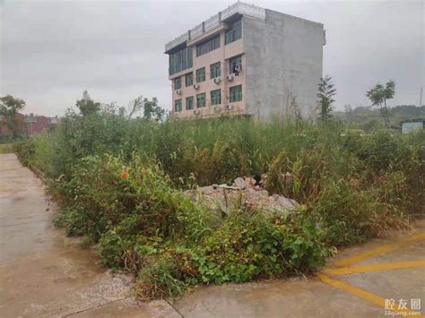 吴川塘缀镇瑚琳杨赤里村将整村拆旧建新，统一规划建45栋楼高二层半的农民别墅！