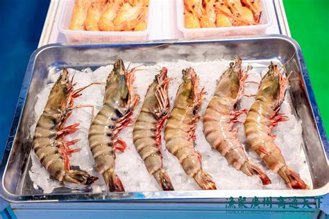 2023 广州国际渔业展览会FISHEX（广州渔博会）-参展网