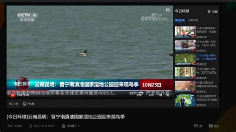 【放送文化】CCTV-4《今日环球》片头_腾讯视频
