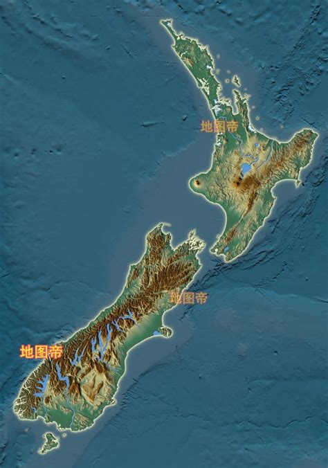 新西兰-Kiwi鸟 - 知乎