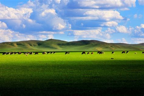 现在是不是真的还有人认为内蒙古是一个大草原，并且那里的人都住蒙古包？ - 知乎