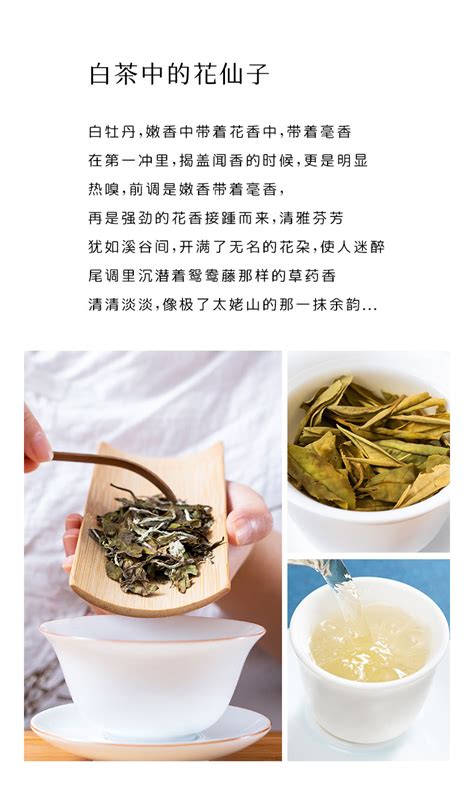 2017淘茶集典藏系列福鼎白茶 白牡丹350g-淘茶网(www.taocha.shop) - 淘茶网