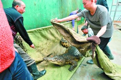 2024广州鳄鱼公园是长隆集团精心打造的又一大型主题公园，于2004年开业，在占地面积达数千亩的公园内..._长隆飞鸟乐园-评论-去哪儿攻略