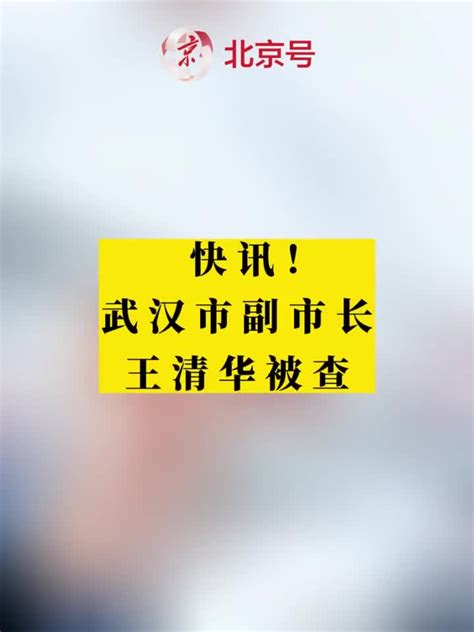 武汉市副市长王清华被查_手机新浪网