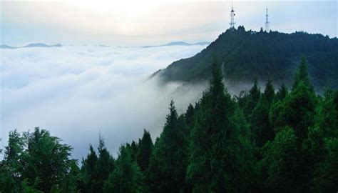 高山峡谷森林树木自然风景高清图片下载_红动中国