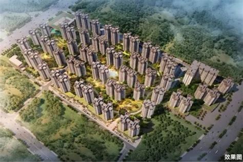 市政府出台促进房地产市场平稳健康发展的意见_湛江市人民政府门户网站