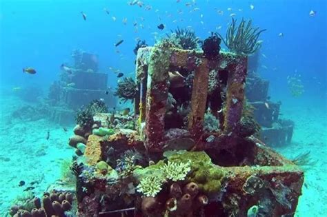 水下摄影海底人工鱼礁种植珊瑚视频素材_ID:VCG2216499412-VCG.COM