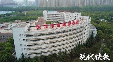 转战金银潭12天，这支医疗队救治转出14名重症和危重症患者_快快看-梨视频官网-Pear Video