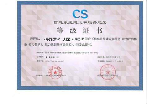 CS信息系统建设和服务能力评估咨询服务_上海市企业服务云