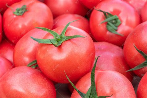 现货供应/天然提取物番茄红/优质水溶性番茄红素/1kg起批-阿里巴巴
