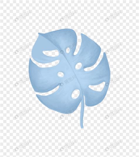 ins叶子风图片