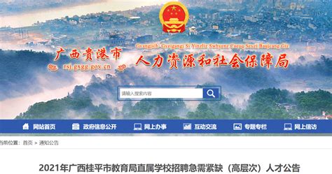 2021广西贵港市平南县民政局招聘公告