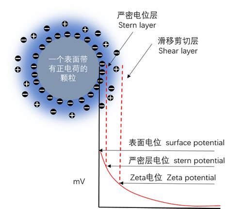 粒径分布/zeta电位测试（北京）
