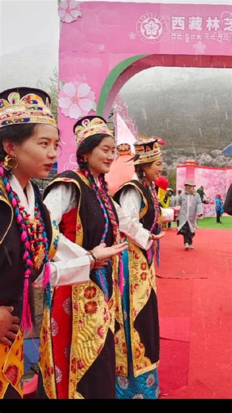 西藏林芝桃花开了，雪花姑娘翩翩而至……|西藏林芝|林芝市_新浪新闻