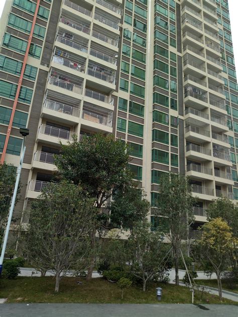 房屋、商铺租赁权拍卖公告（2018年6月21日） - 肇庆市拍卖行有限公司