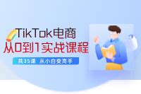 TikTok电商实战课：选品+建站+广告投放，美元变现终极攻略 - VIPC6资源网