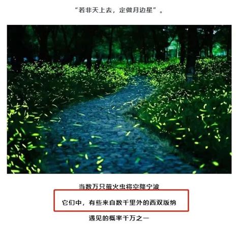 宁波一景区要“放飞十万只萤火虫”，部分来自西双版纳？网友吐槽，相关部门介入！官方最新回应……__财经头条