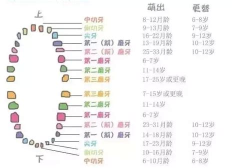 十字牙位图图片