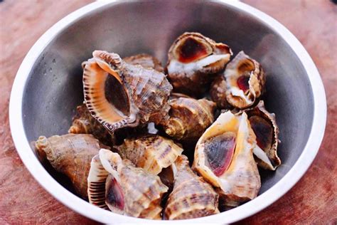 原味海螺,原味海螺的家常做法 - 美食杰原味海螺做法大全