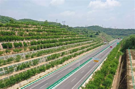 甘肃省两个高速公路建设项目顺利通过交工验收-甘肃经济网-每日甘肃网