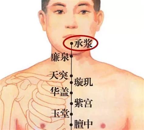 承浆的准确位置图图片 承浆的准确位置图图片