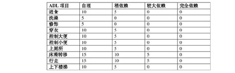 ADL常用评定量表【最新版】_word文档在线阅读与下载_免费文档