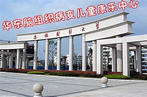 北京大学江湖绰号：圆明园职业技术学院