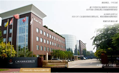 KissCat，广州天创时尚鞋业股份有限公司系统实施报告。_鞋业制造案例_维创软件:鞋业信息化专家，致力于鞋业制造ERP、贸易ERP系统的开发实施。
