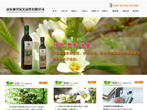 淄博网站优化公司：为您的网站提供优质推广服务-速发外链网